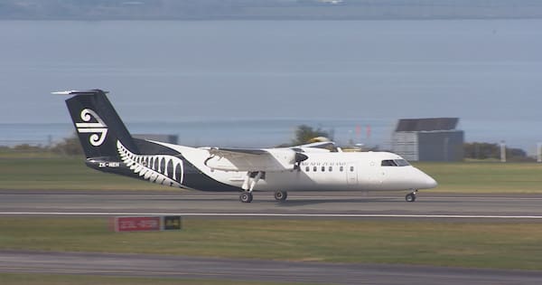 How much difference would Labour's airline policy really make?
