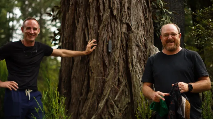 Two men stand next to a large tree trunk with a sensor attached to it.