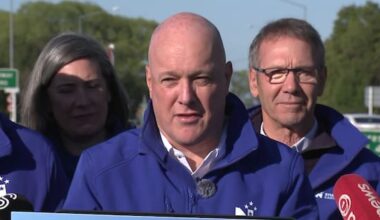 National says it will create new marine reserve in Hauraki Gulf