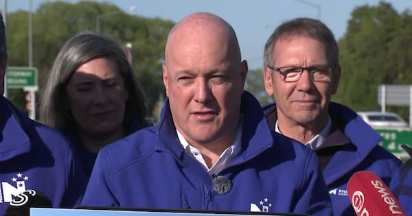 National says it will create new marine reserve in Hauraki Gulf