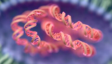Too Much RNA Can Actually Starve Cells of Energy, Study Finds : ScienceAlert