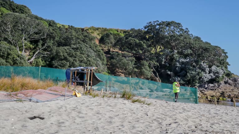 Māori wardens at the base of Mauao on the Mount Main Beach side of the cordon.