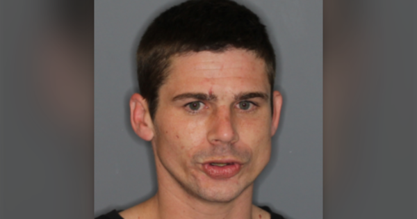 'Risk to the public': Major police search for wanted man in Coromandel