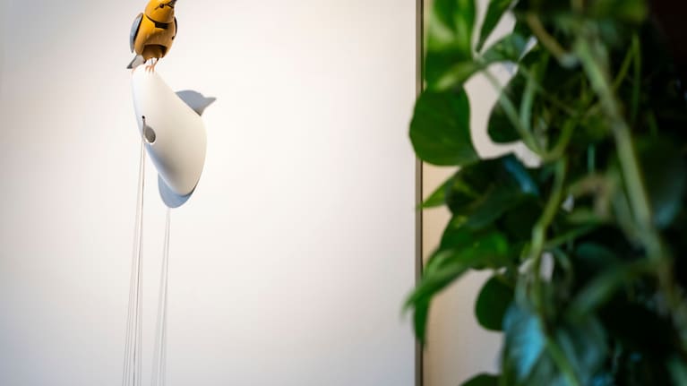 Molly, a singing and dancing mechanical bird, by Bliss Kolb, is displayed at Art of Play