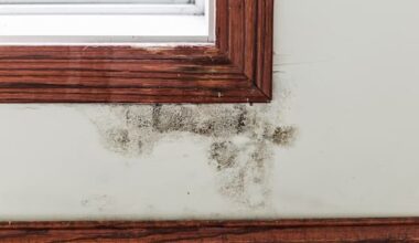 Landlord to pay tenant $49k over leaky rental without hot water