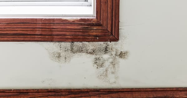 Landlord to pay tenant $49k over leaky rental without hot water
