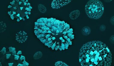 Nearly 1 in 8 cancers worldwide are caused by infections. Many could be prevented