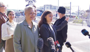 Driver fined after near miss with train during Greens announcement