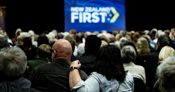 Familiar names leapfrog sitting MPs on NZ First list