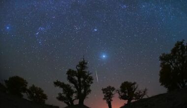 How to catch a glimpse of tonight's dazzling meteor shower