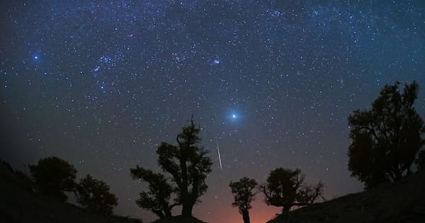 How to catch a glimpse of tonight's dazzling meteor shower
