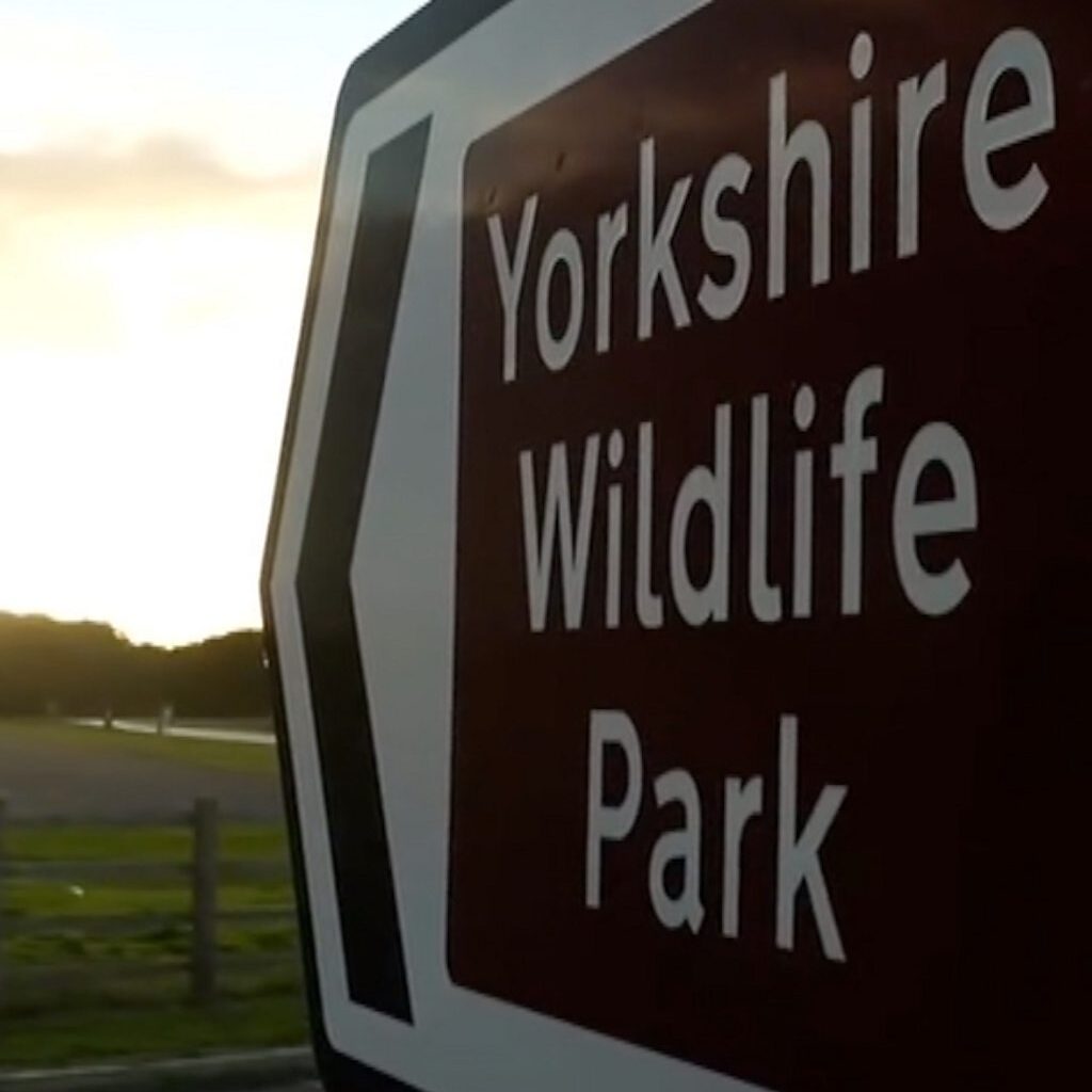 What we know about a tiger attack at Yorkshire Wildlife Park - BBC
