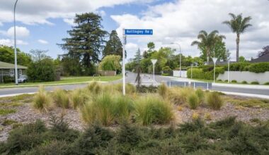 Kicked to the curb: Street flower displays axed in cost-cutting move