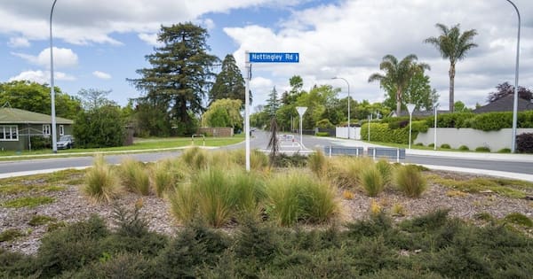 Kicked to the curb: Street flower displays axed in cost-cutting move