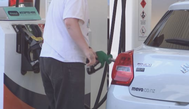 Who is cashing in as petrol prices hit record high at the pump?