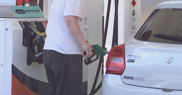 Who is cashing in as petrol prices hit record high at the pump?