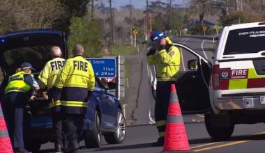 Two dead after three-vehicle crash in Auckland's north