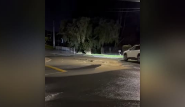 'Frustrating': Businesses close after burst pipe floods Auckland road