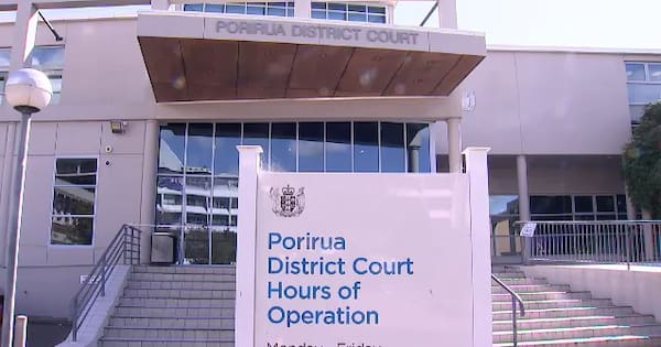Pizza shop owner sentenced to home detention for $500k tax evasion