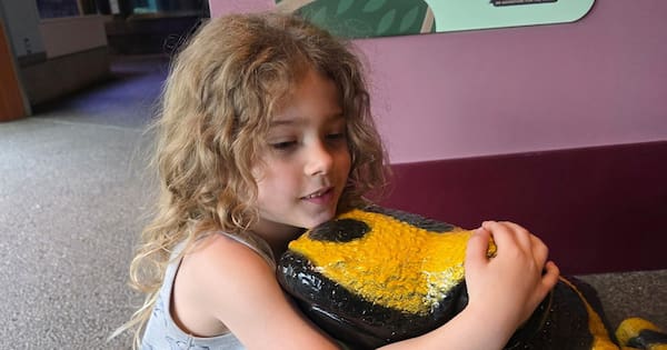 Youngest victim in Oregon school shooting loved climbing, stuffed animals