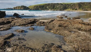 'Selfish few' blamed for Auckland, Coromandel rockpool crackdown