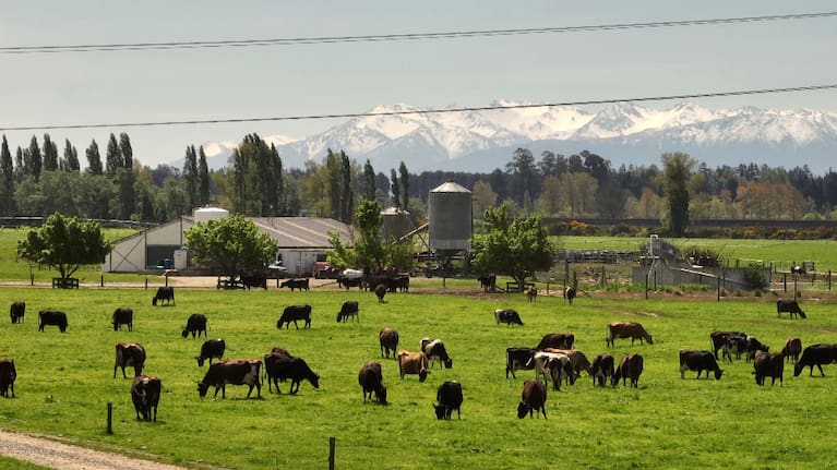 Rosie and her husband Elijah now work in dairy farming in Canterbury and on the West Coast, more than a decade after leaving Gloriavale.