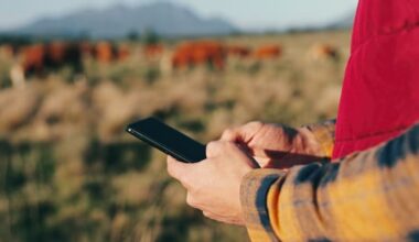 'Rural mobile coverage has gone backwards' without 3G