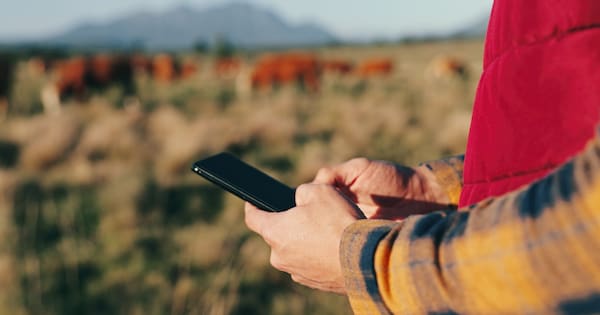 'Rural mobile coverage has gone backwards' without 3G