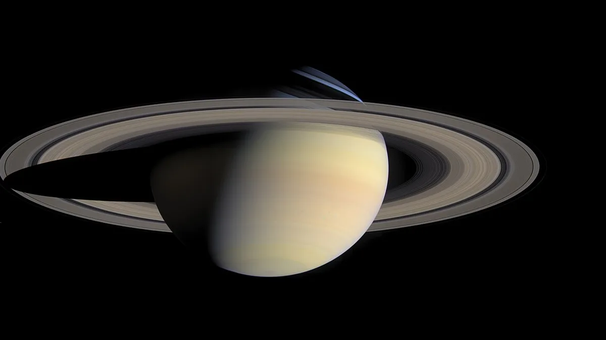 The Milky Way arching over a silhouetted forest on a summer night sky