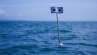 Scientists put a floating ‘scarecrow’ beside fishing nets; the device cut seabird bycatch by 59%, while a kite cut it by 71%