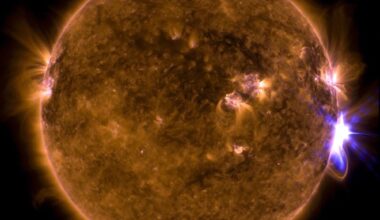 NASA’s Solar Dynamics Observatory captured this image of a solar flare – as seen in the bright flash on the right side – on Sept. 10, 2017. The image shows a combination of wavelengths of extreme ultraviolet light that highlights the extremely hot material in flares, which has been colorized. There's a lot to learn about flaring, and the ever-changing Sun itself, and new research made progress in understanding its flaring behaviour. Image Credit: NASA/SDO