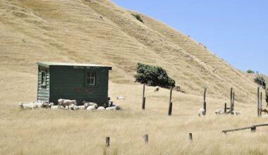 Gisborne farmers and wine growers see upside of El Niño