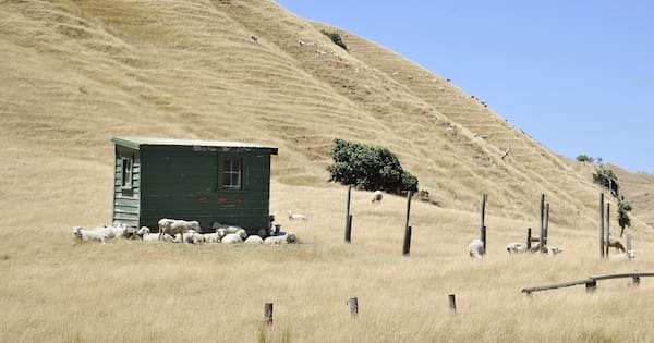 Gisborne farmers and wine growers see upside of El Niño