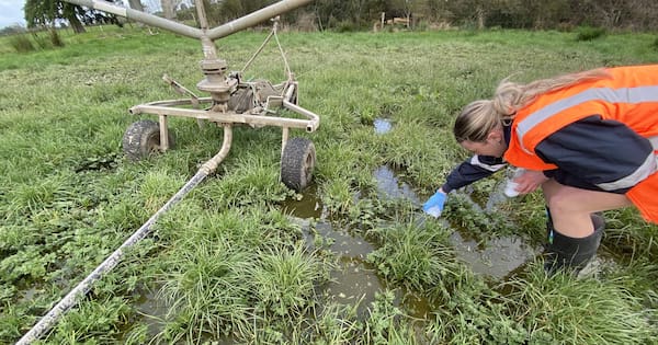 Farmer fined near $100k for 'entirely avoidable' effluent discharge