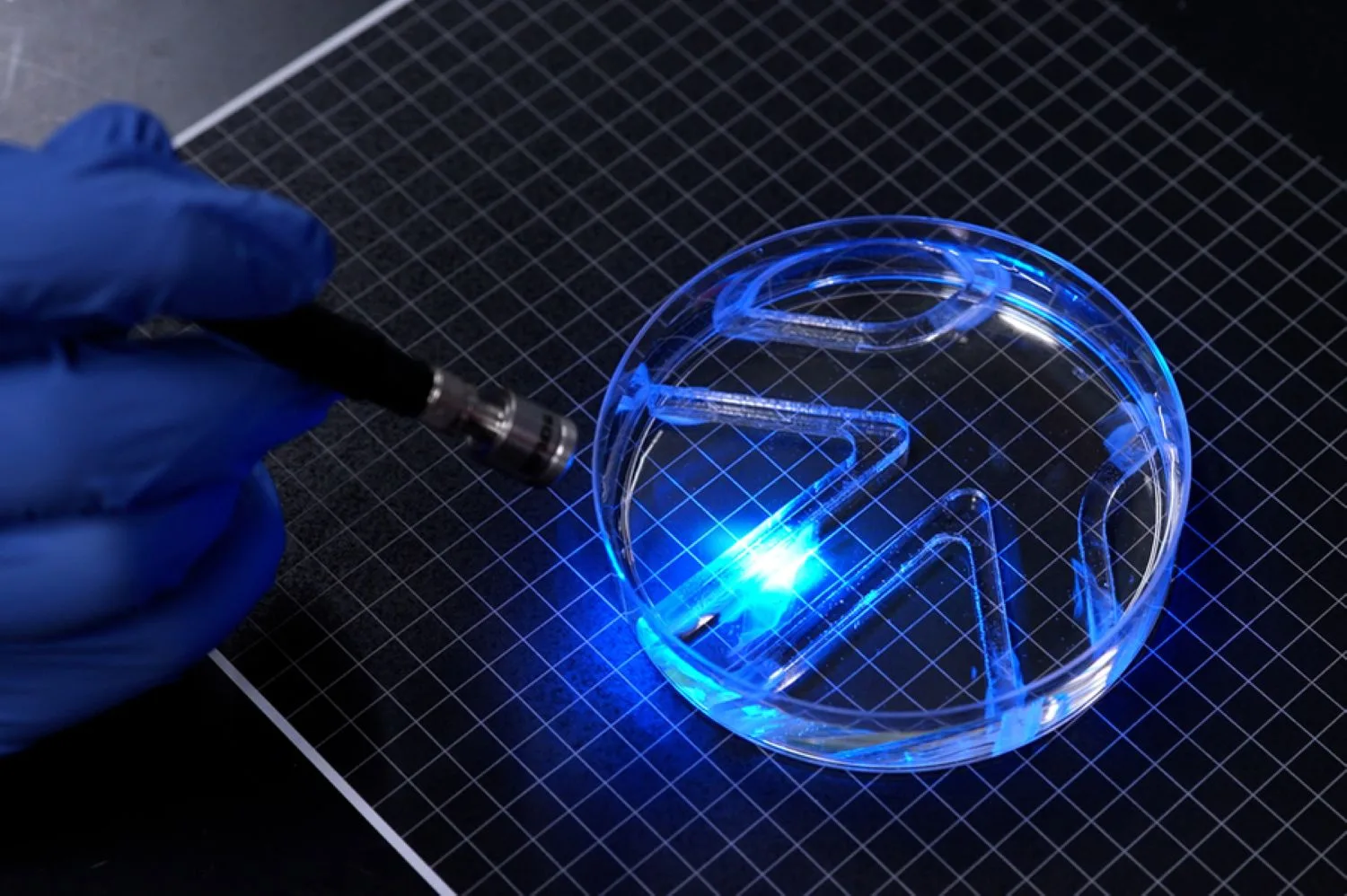 MIT Builds a Paper-Thin Robot That Swims Using Living Muscle