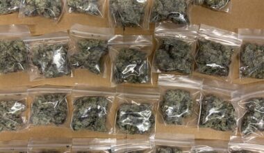 Six arrested as guns, drugs, and homemade taser seized in Taranaki raids