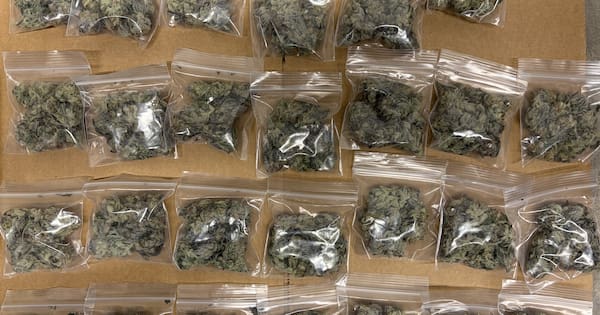 Six arrested as guns, drugs, and homemade taser seized in Taranaki raids