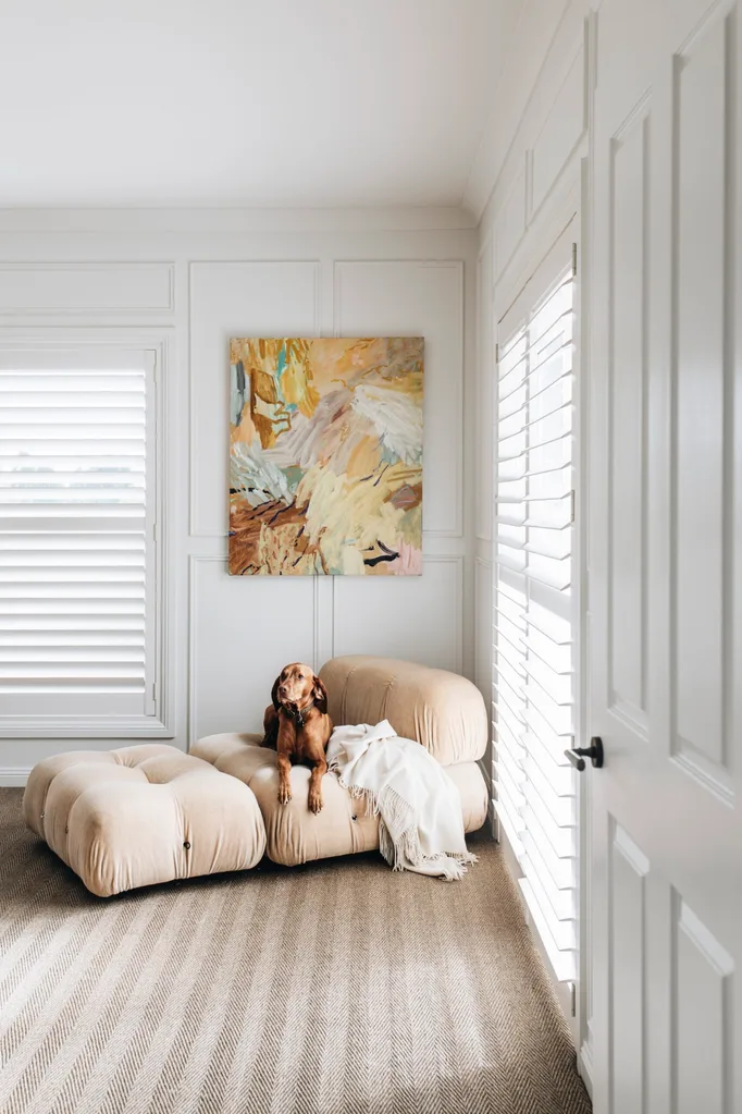 A dog rests on a armchair in a white room
