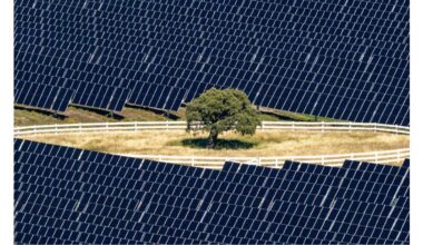 New Zealand’s Christchurch Airport Hosts 150 MW AC Solar Farm