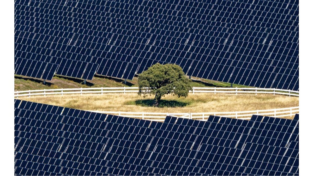 New Zealand’s Christchurch Airport Hosts 150 MW AC Solar Farm