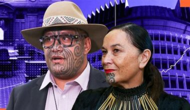 Te Pāti Māori announces 'one-person' party list for 2026 election