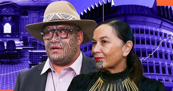 Te Pāti Māori announces 'one-person' party list for 2026 election