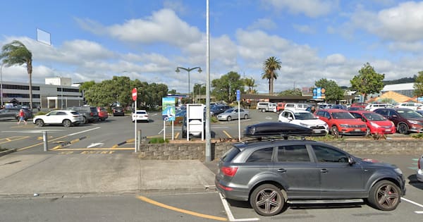 'Reckless violence': Shot fired in Whangārei car park dispute