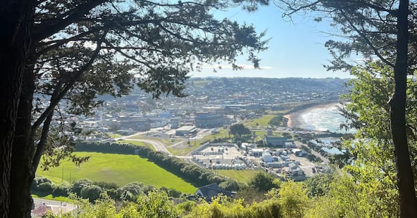 Waitaki council claims third-party property sites 3000% more expensive