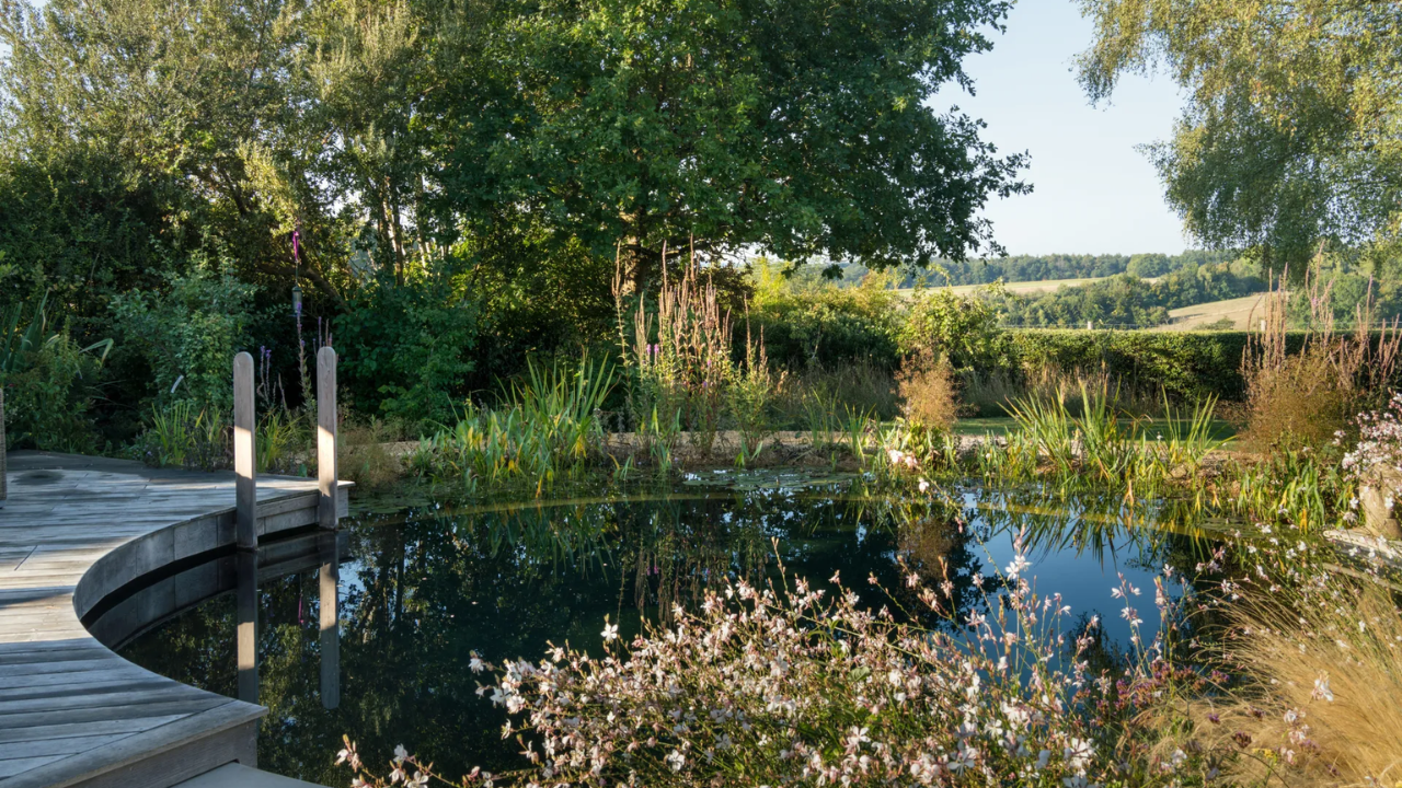 The existing terrace and two ponds were kept for their environmental value (Image: Julie Skelton) The existing terrace and two ponds were kept for their environmental value (Image: Julie Skelton)