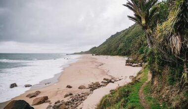 1080 poison drop planned for West Coast national park