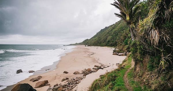 1080 poison drop planned for West Coast national park