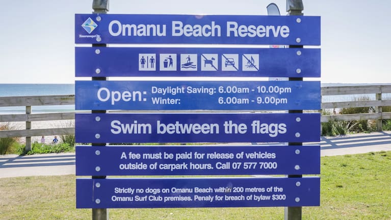 The very detailed Ōmanu Beach carpark sign stipulating "no dogs".
