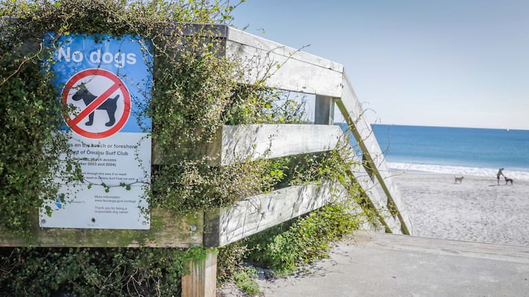 The Ōmanu Beach "no dogs" signage.