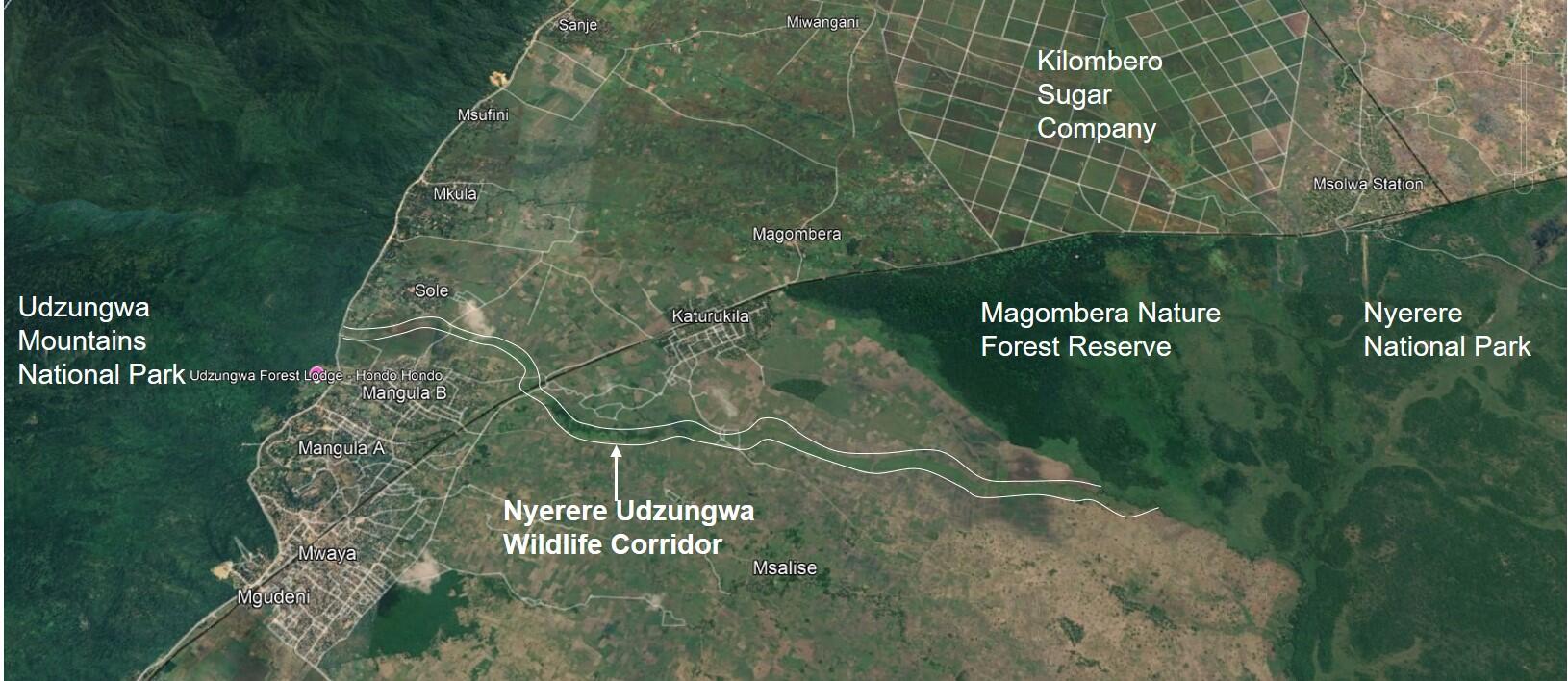 The protected corridor reconnects elephant habitats across Tanzania’s Kilombero Valley. (Photo: Reforest Africa/Google Earth) The protected corridor reconnects elephant habitats across Tanzania’s Kilombero Valley.<br>